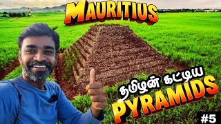 🗻கரும்பு காட்டுல தமிழனின் சேட்டை👍| 🇲🇺Mauritius ep5