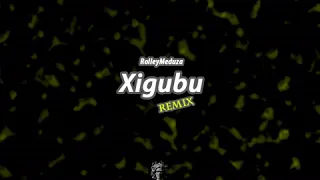 rolleym xigubu amapiano revisit dj ganyani ft fb 