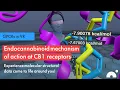 GPCRs in VR Endocannabinoid mechanism of action at CB1 receptors