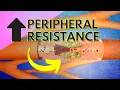 Regulating Peripheral Resistance - Part 1