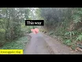 Download Lagu How to go to Shek Fan Tam (Kau Lung Pool) Fanling Hongkong