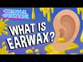 What Is Earwax COLOSSAL QUESTIONS