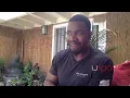 Michael Jai White reveals his diet regimen