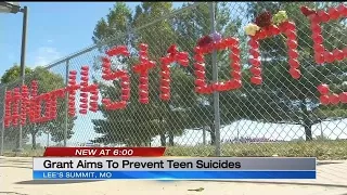 Grant aims to prevent teen suicides in Lee s Summit