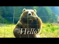 Hello Gif 1