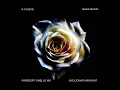 Noir (feat. Axel Jonas, IYB Midnight)