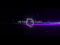 Lilly palmer - We Control