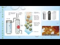 Water Softener Explainer