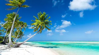 Calm Sea Reflections Uplifting Tropical Bossa Nova That Balances Peace And Positivity 