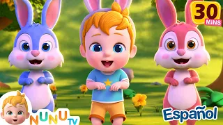 Conejitos dormilones + más canciones infantiles | NuNu Tv Canciones Infantiles