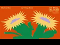 Bluewerks - Martin $ky - "Arriving Soon"