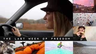 We saw REINDEERS in Wales?! No.49