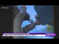 James Avery to begin hiring for new artisan facility
