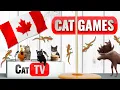 Kattenspelletjes | Larry the Lizard's Cozy Canadian Getaway 🦎🏒❄️ 🇨🇦 | Katten-tv 😻