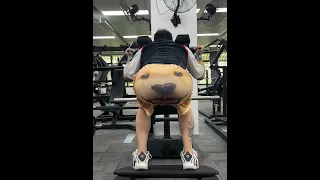                     دندنها
