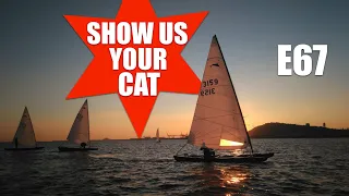 Show us your cat! Episode 67   France, Spain and USA