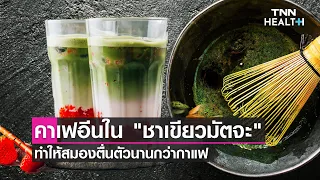  ทำไมชาเขียวมัจฉะถึงทำให้รู้สึกตื่นตัวได้นานกว่ากาแฟ แม้จะมีคาเฟอีนน้อยกว่า 
