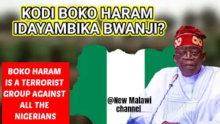 Kodi Gulu La Zigawenga Lomwe Lavuta Ku Nigeria Lidayambika Bwanji Nanga Amalipanga Support Ndi Ndani 