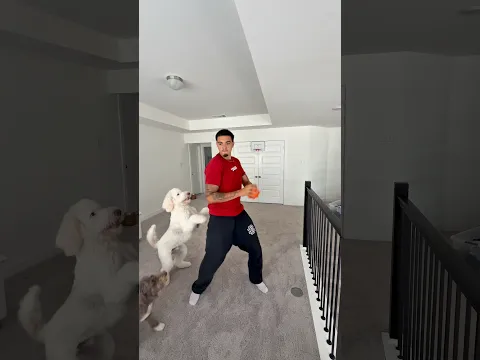 DUNKED ON BY MY DOG 🐶 🏀