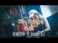 Xin Tong - 心痛 (Electro Manyao) By Dj Brian Bie #remixmanyao #djchina #djasiaremix #DJ抖音版2024