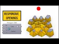 Grasshopper Luncbox Hexagonal Attractor