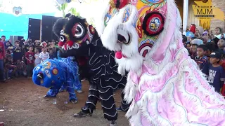 lanang cobra burok mjm live cipancur 27 08 2020