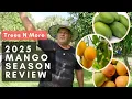Lagu 2025 Mango Season Recap with Mike at Trees N More (Florida Mango Expert!)