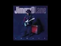 JIMMY D. LANE (Chicago, Illinois, U.S.A) - 08. One Room Country Shack