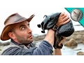 Download Lagu IT'S HUGE! Giant Black Slug!