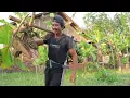 Download Lagu Suasana kebun saat ini - cabut singkong sekalian tebang pisang di bantu pa dhe