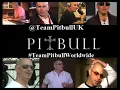 Pitbull - Echa Pa'lla (Manos Pa'rriba)(English Version)