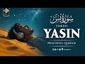 Lagu Surah Yasin (Yaseen)  سورة يس | peaceful recition that will move your heart- Albaqi tv 
