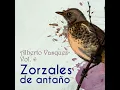 Olvidalo