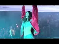 Lorde - Ribs (Live) 4K