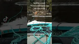 Beachcombing for logs in British Columbia