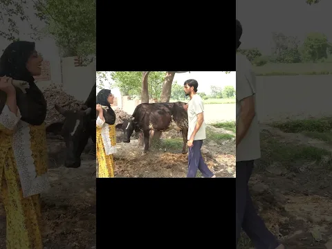 Chor Pakra Gya Part 1