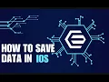 How to store data in an iOS data persistence in Swift
