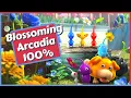 Blossoming Arcadia 100 in Pikmin 4