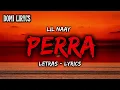 Lil naay-PERRA (letras/lirycs) 