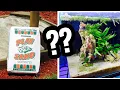 Using Play Sand in your Aquarium