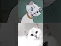 Download Lagu The Aristocats Real Life 😍 #shorts