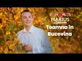 Lagu Marius Zgâianu - Toamna în Bucovina...