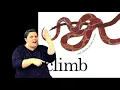 Move ASL Storytelling