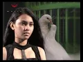 Download Lagu BURUNG-BURUNG PUTIH - Trio Crisan'd (Official Music Video)