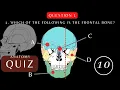 Can You Pass This Skull Anatomy and Physiology Quiz Questions with Answers