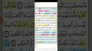 تثبيت وتربيط ربع فلما احس عيسى سورة آل عمران 