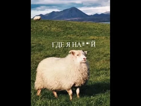 В СМЫСЛЕ? #trending #shorts #shortsfeed #youtubeshorts #viral #memes #meme #funny #animation