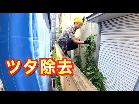 【嶌(つた)除去６６００円〜】葛ツタ蔓系植物を撤去します！☆損害保険適応☆