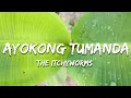 Download Lagu The Itchyworms - Ayokong Tumanda (Lyrics)