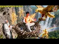Download Lagu Pria Cacat Dibuang dari Gunung, Dapat Warisan Darah Dewa Perang dari Guru Tua untuk Balas Dendam